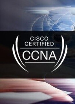 網(wǎng)絡(luò)工程師與計(jì)算機(jī)網(wǎng)絡(luò)技術(shù) 構(gòu)建數(shù)字世界的橋梁